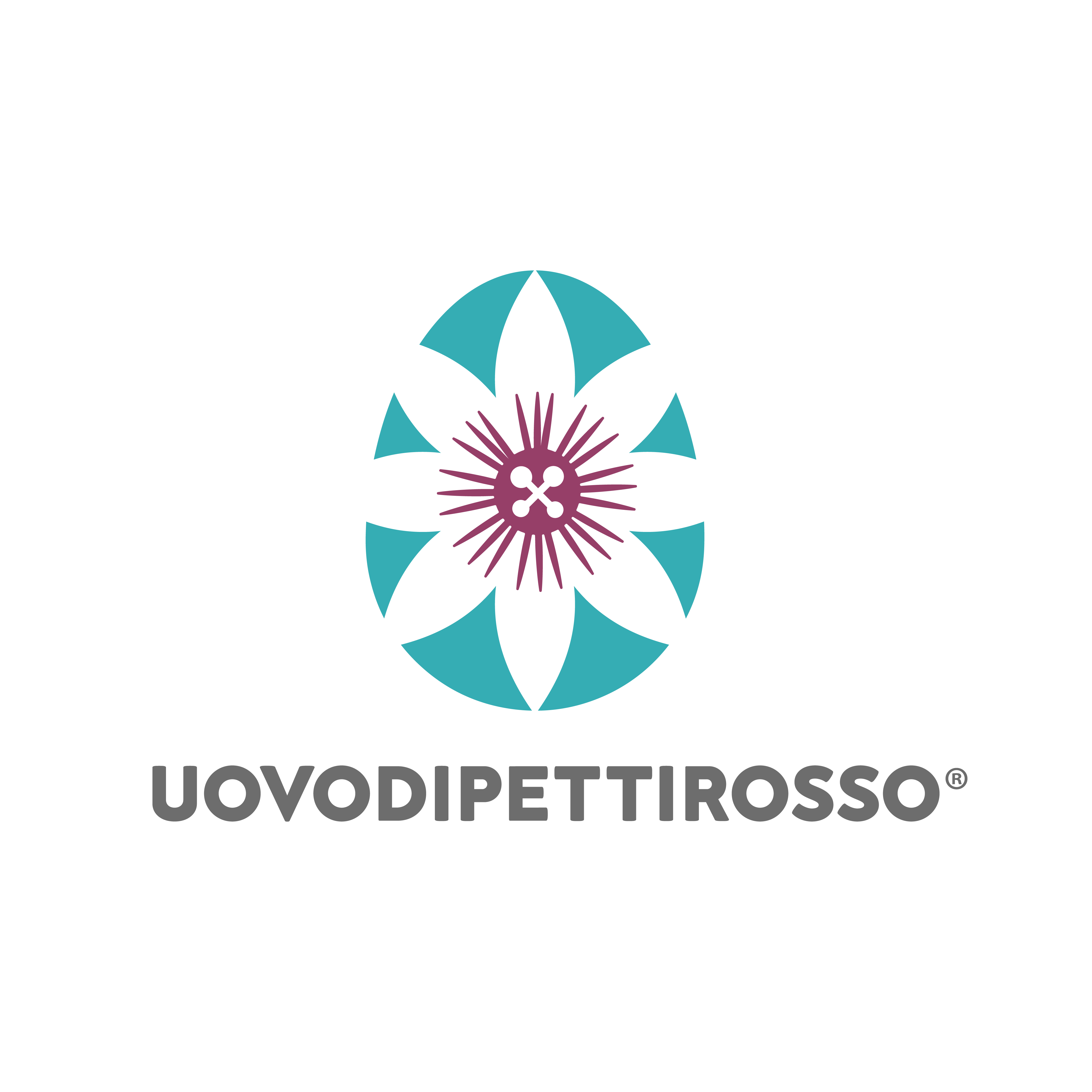 Uovo di Pettirosso